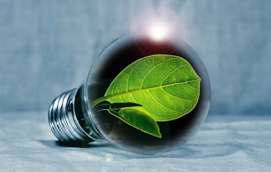 Énergie verte représentée par une ampoule avec une feuille à l'intérieur