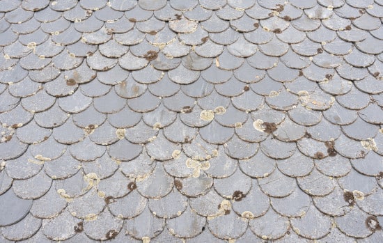 Toiture en ardoise naturelles, apparition de mousse, besoin de nettoyage avec des produits naturels et adaptés aux ardoises