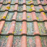 Toiture en tuile avec apparition de mousse et de lichens, besoin de nettoyage avec des produits naturels et adaptés aux tuiles